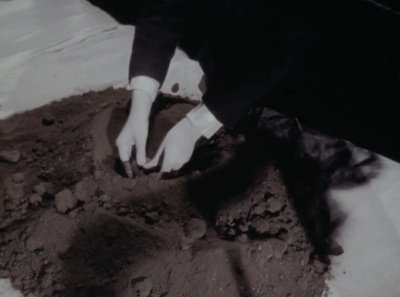 大卫林奇短片集剧照的剧照