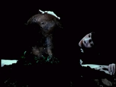 大卫林奇短片集剧照的剧照