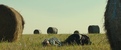 八月：奥色治郡剧照的剧照