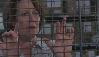 天佑鲍比剧照的剧照