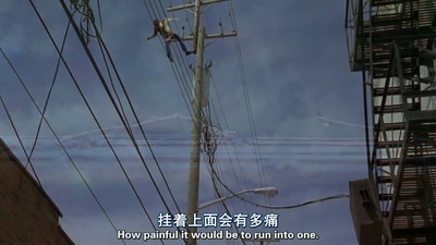 天佑鲍比剧照的剧照