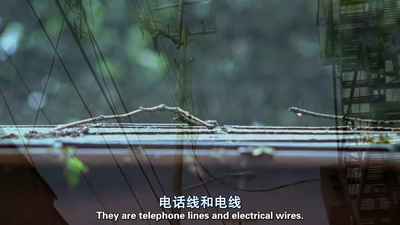 天佑鲍比剧照的剧照