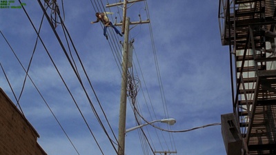 天佑鲍比剧照的剧照