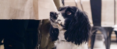 西北风云剧照的剧照