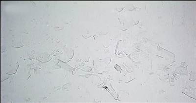 错位剧照的剧照