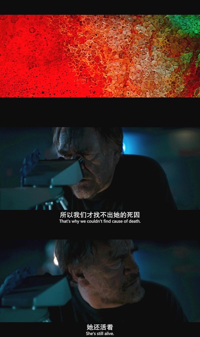 无名女尸剧照的剧照