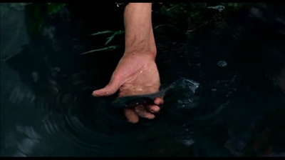 天堂的颜色剧照的剧照