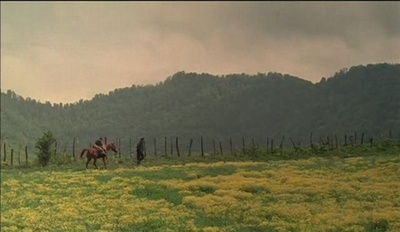 天堂的颜色剧照的剧照