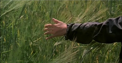 天堂的颜色剧照的剧照