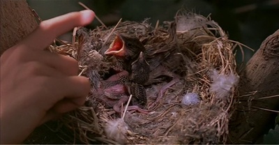 天堂的颜色剧照的剧照