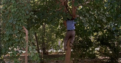 天堂的颜色剧照的剧照