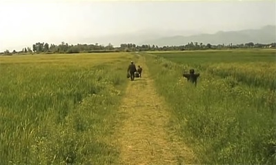 天堂的颜色剧照的剧照