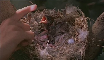 天堂的颜色剧照的剧照