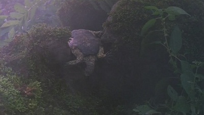 天堂的颜色剧照的剧照