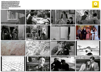 南特的雅克德米剧照的剧照