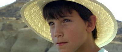 卡米诺剧照的剧照