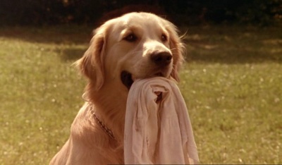 乘火车去旅行剧照的剧照