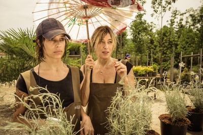 疯爱剧照的剧照