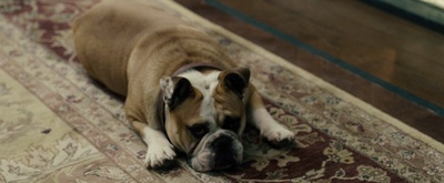 大侦探福尔摩斯2：诡影游戏剧照的剧照