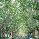 我们的情人们剧照