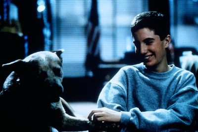 彩虹剧照的剧照