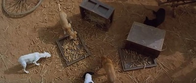 抗暴英雄剧照的剧照