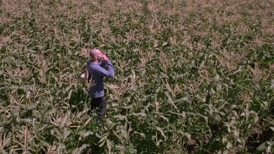 玉米田的小孩5剧照的剧照