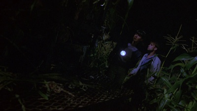 玉米田的小孩5剧照的剧照