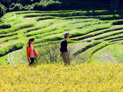 太秦灯光下剧照的剧照