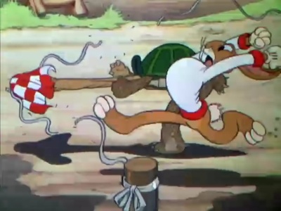 乌龟和兔子剧照的剧照