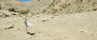 卡贾基剧照的剧照