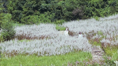 机器人之恋剧照的剧照