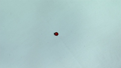 机器人之恋剧照的剧照