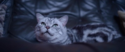 阿洛伊斯剧照的剧照