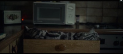 阿洛伊斯剧照的剧照