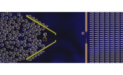 二维世界剧照的剧照