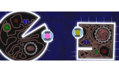 二维世界剧照的剧照