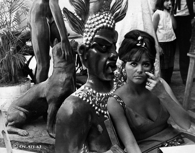 大众玫瑰剧照的剧照