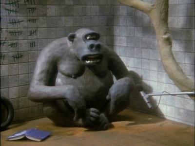 衣食住行剧照的剧照