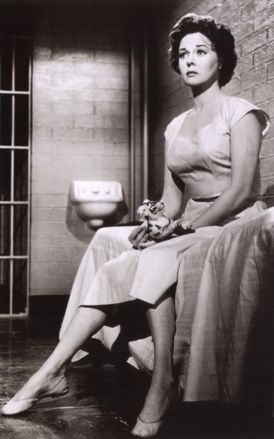 我要活下去剧照的剧照