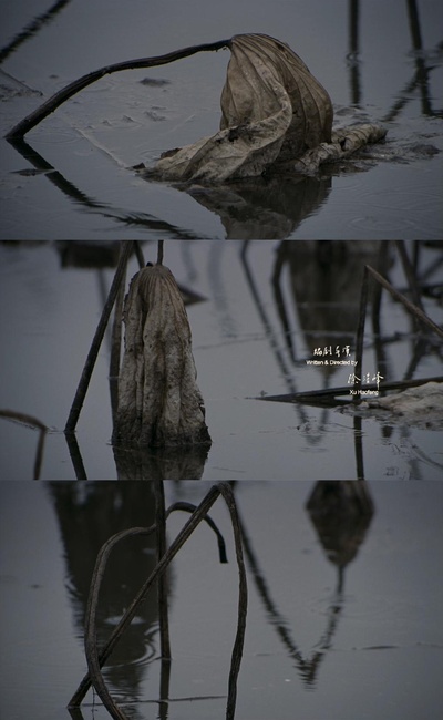 倭寇的踪迹剧照的剧照