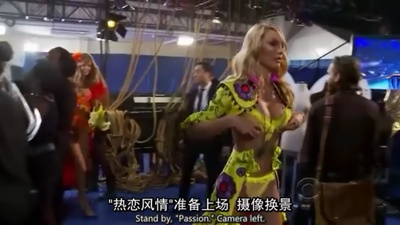 维多利亚的秘密2011时装秀剧照的剧照