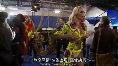 维多利亚的秘密2011时装秀剧照的剧照