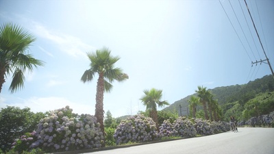 如果我们是季节剧照的剧照