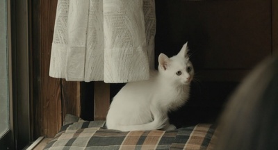 最差劲剧照的剧照