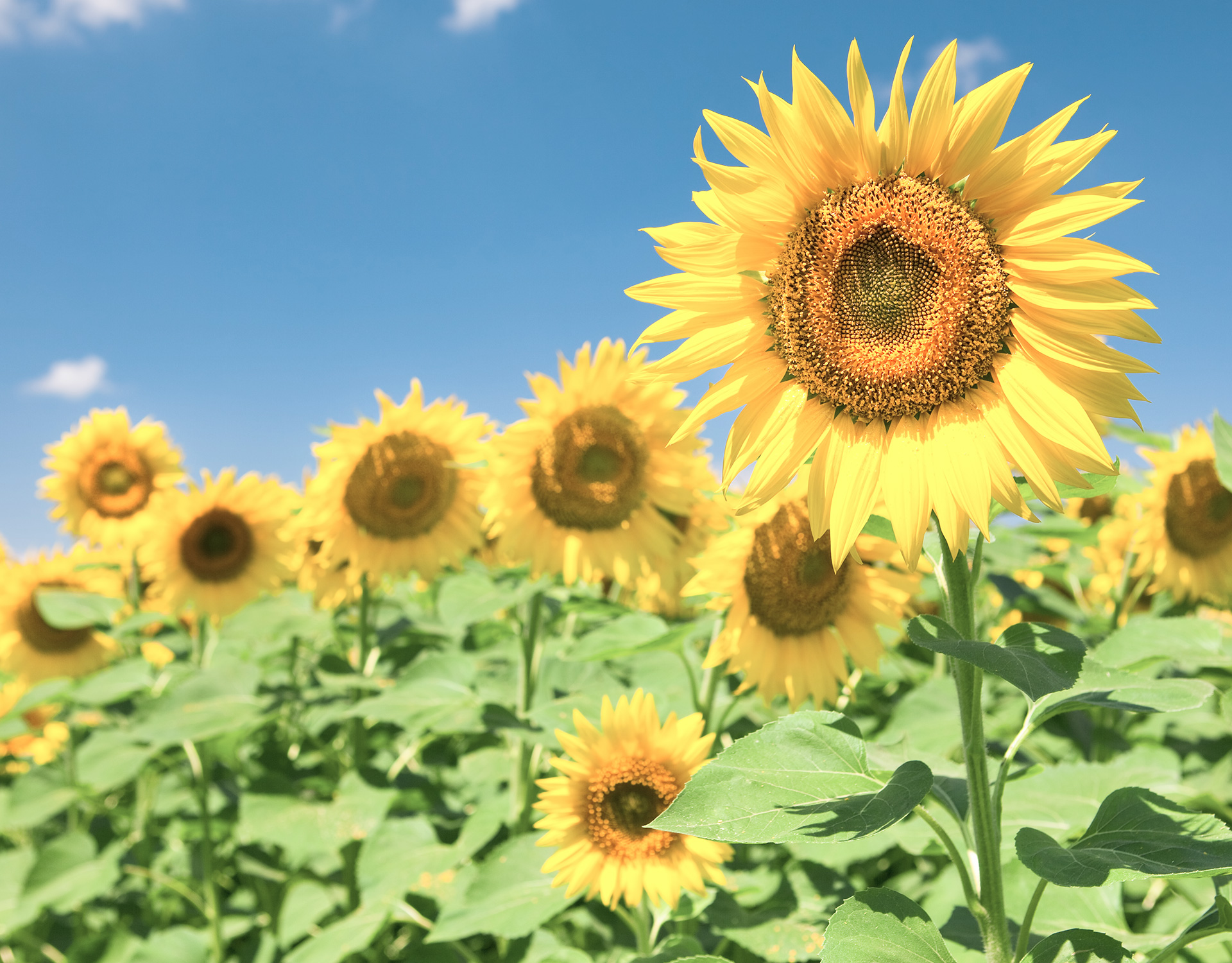 讨厌的女人剧照的剧照