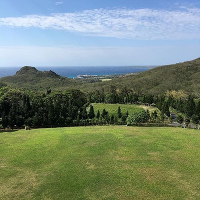 夏天19岁的肖像剧照的剧照