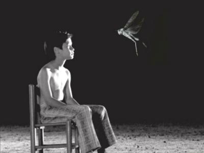 7 Television Commercials (2001)剧照的剧照