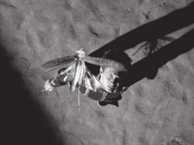 7 Television Commercials (2001)剧照的剧照