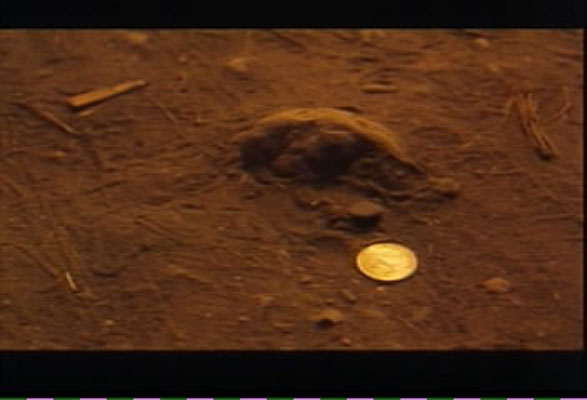 太平天国剧照的剧照